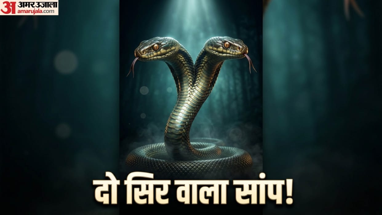 Viral News Two-headed snake species discovered in South China