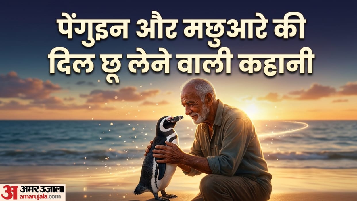 Every year the Penguin came from 8000 km away to meet the man who saved his life Brazil story
