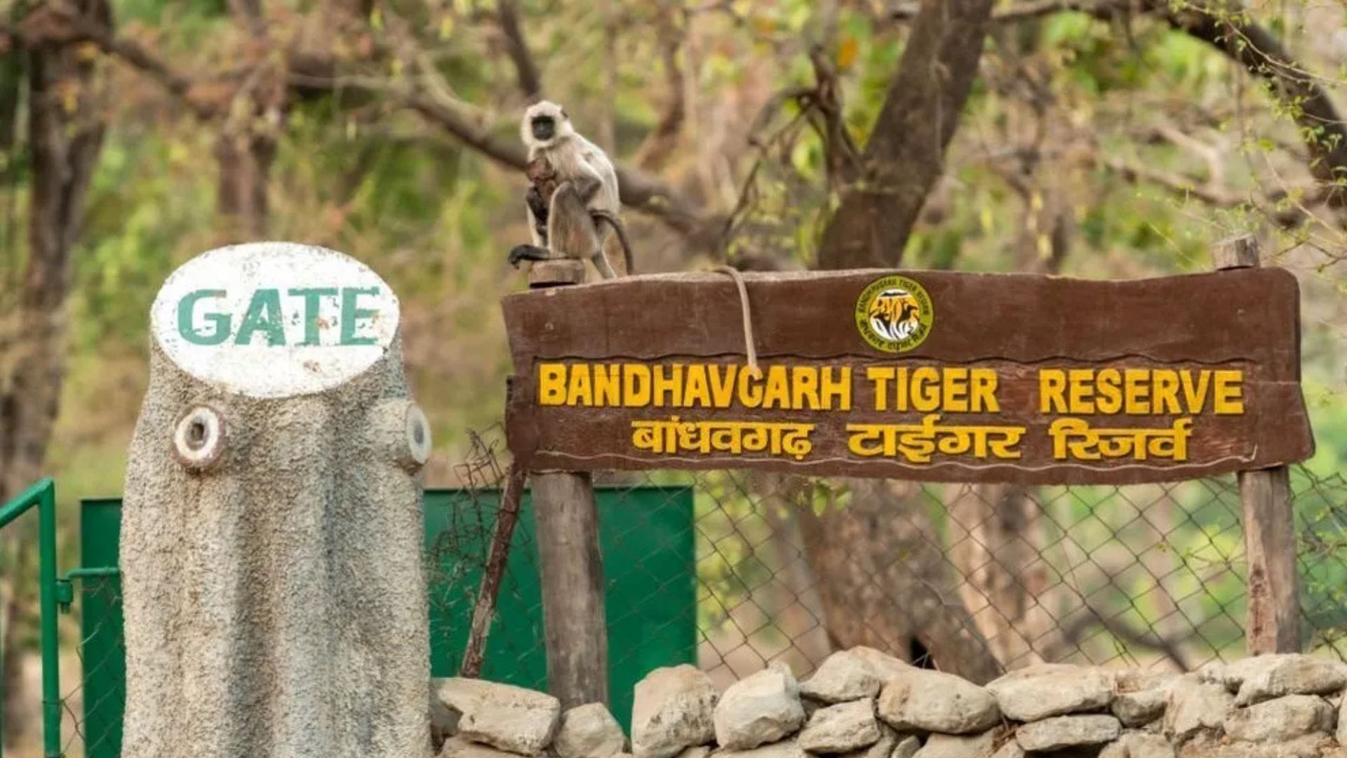 बांधवगढ़ टाईगर रिजर्व