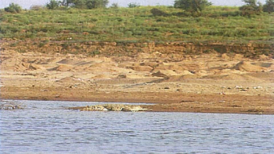 Supreme Court Panel Recommends Strict Action Against Illegal Mining in Chambal