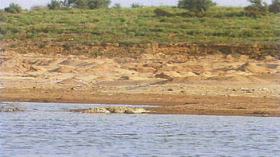 Supreme Court Panel Recommends Strict Action Against Illegal Mining in Chambal