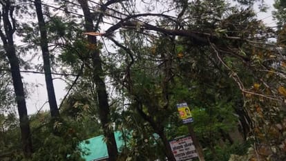 Orange Alert Issued for Heavy Hailstorms and Gusty Winds in Several Districts of Himachal Pradesh