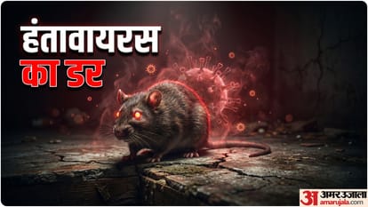 हंतावायरस का संक्रमण