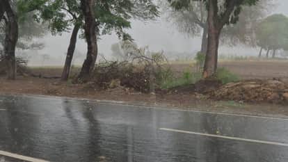 Rain in Haryana Weather News Change in Weather Today Weather