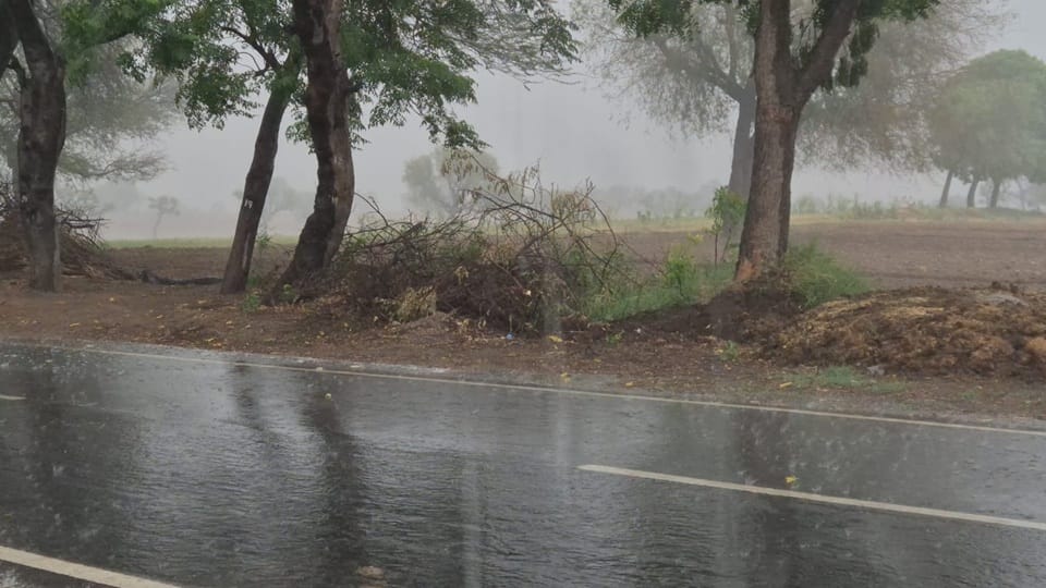 Rain in Haryana Weather News Change in Weather Today Weather