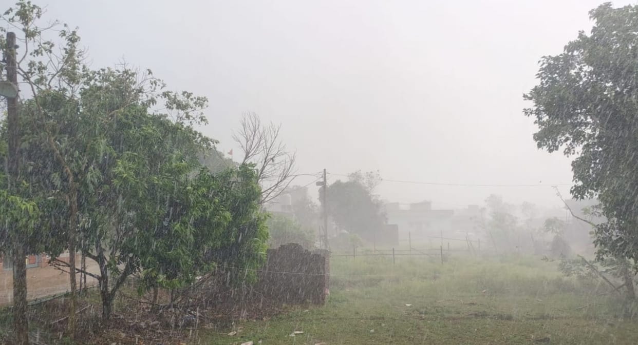Bihar Weather Lightning Strike Kills four Storm and Rain Cause Widespread Damage