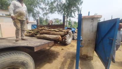 Huge Stock of Illegal Timber Found Inside Overhead Tank Premises in Bijnor