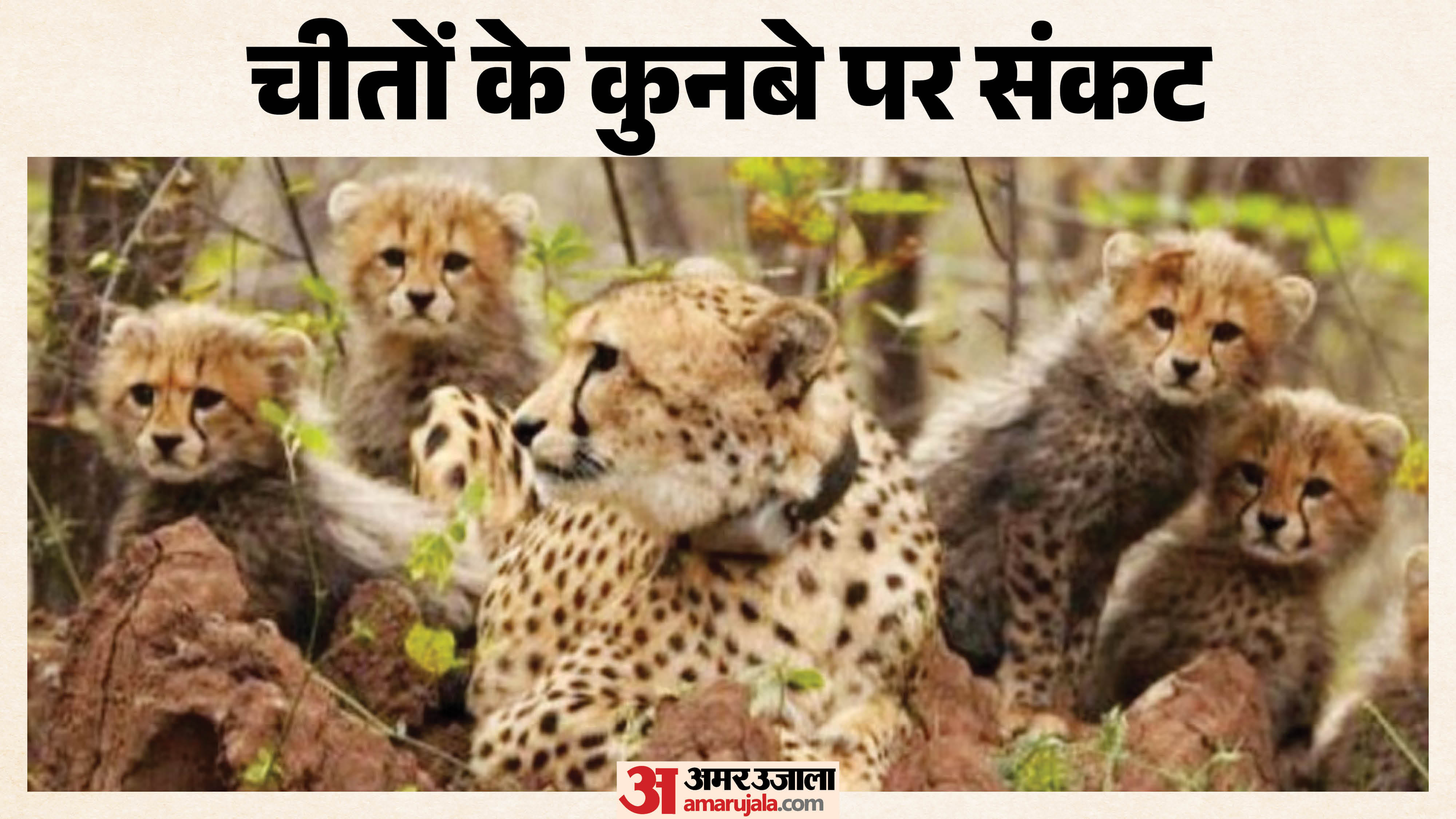 फाइल फोटो