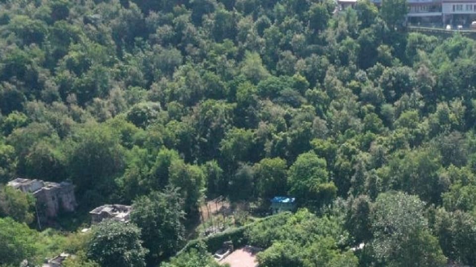 Miyawaki forest with Japanese technology will grow in Bhati Mines