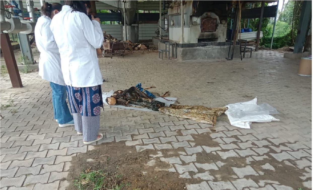 Skeleton of unidentified person found in Dabkori village, Panchkula; atmosphere of panic prevails in the area