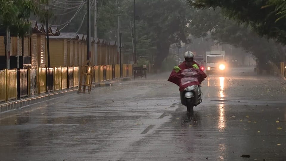 प्रतिकात्मक तस्वीर