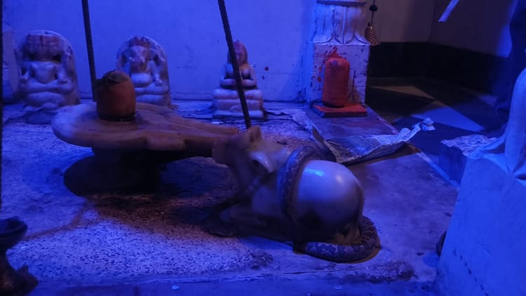 ये कैसा चमत्कार: शिव मंदिर में नंदी महाराज पर घंटों लिपटा रहा सांप, इलाके में आग की तरह फैली खबर; देखें VIDEO