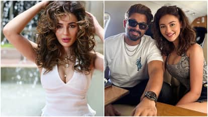 Who Is Seerat Kapoor Actress Lashed Fan Who Told Her She Is Allu Arjuns Property