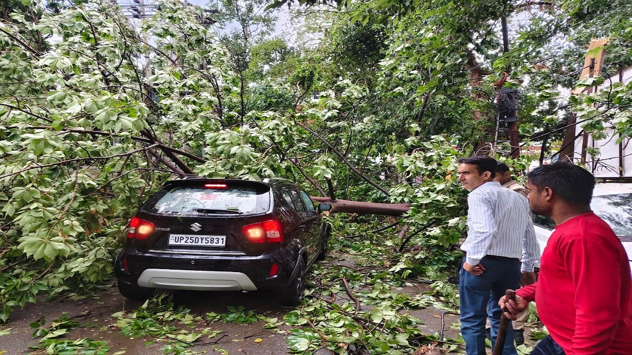 unipoles and trees to fall on roads due to storm and rain in Bareilly