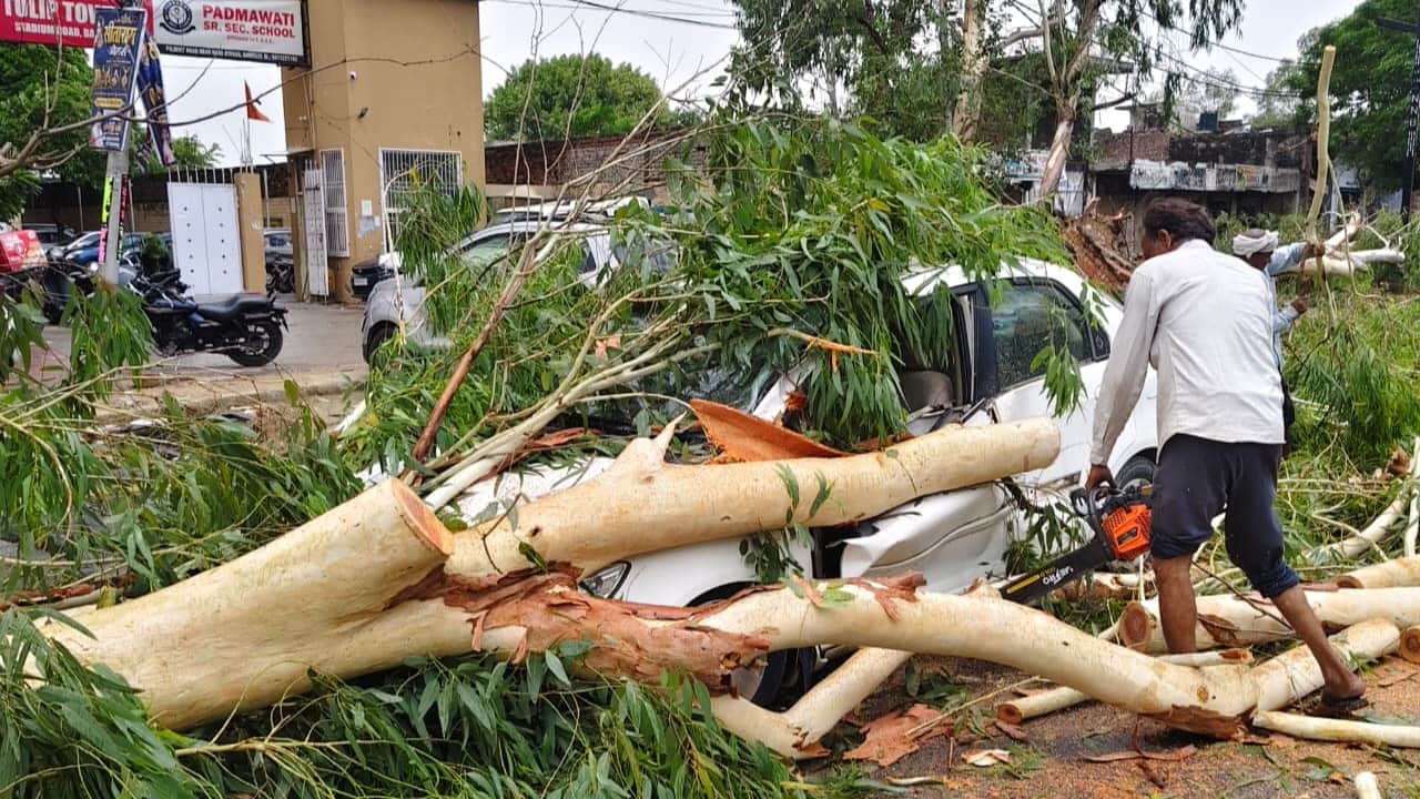 unipoles and trees to fall on roads due to storm and rain in Bareilly