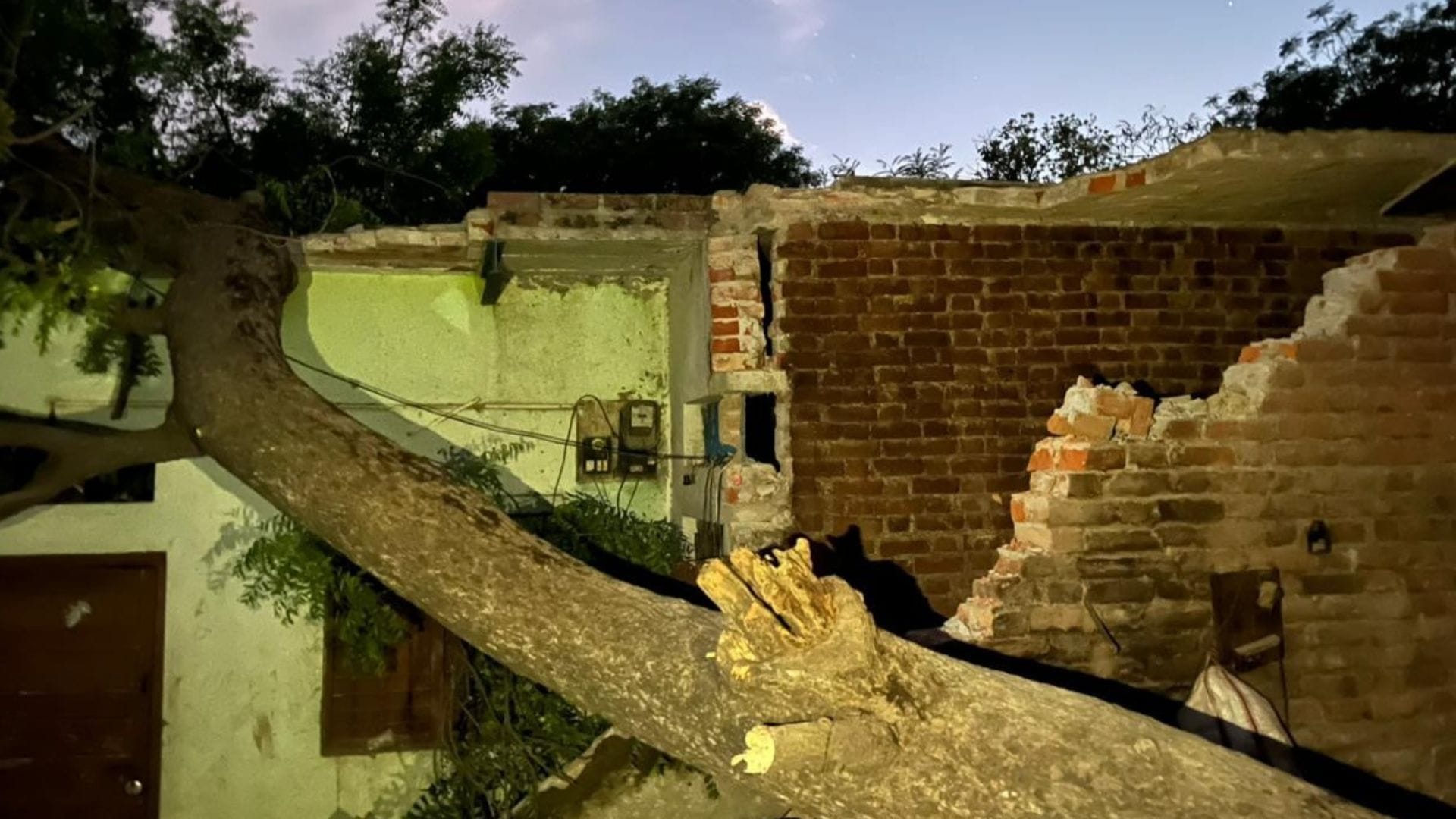 UP Weather Devastation in Bhadohi Storm Raging 80 km hour Claims 15 Lives Over 50 people Injured
