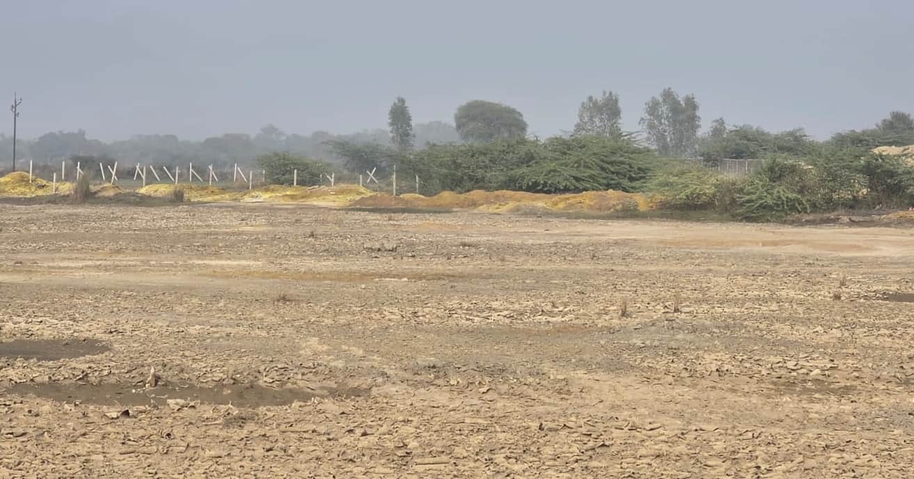 Kanpur Aspergillus Fungus to Absorb Chromium from Water New Strain Discovered in Jajmau Soil by HBTU