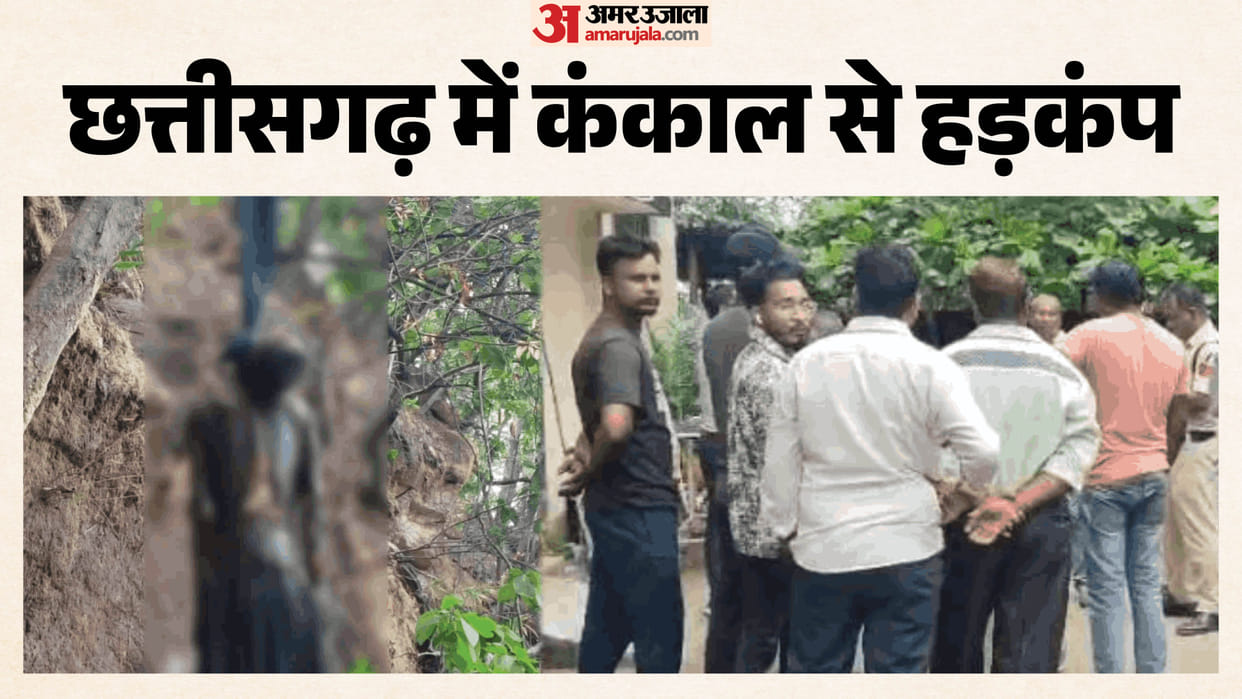 human skeleton missing person was found hanging from tree in Suapahad forest of Korba