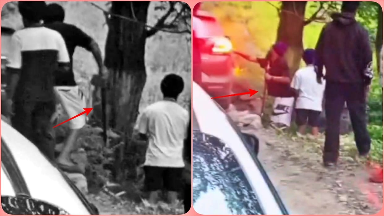 Himachal Kullu Punjab Tourists Indulge in Hooliganism Assault with Sharp-Edged Weapons