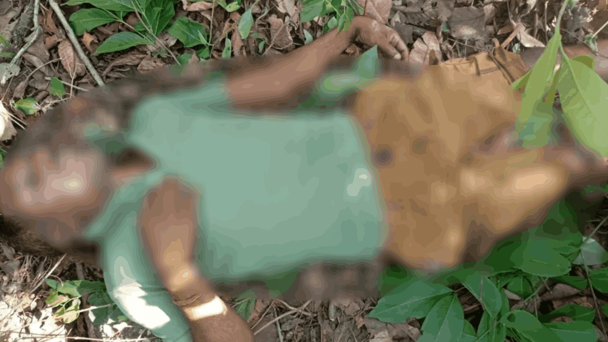 Villager dies after falling from a tree while plucking Tendu leaves in Raigarh