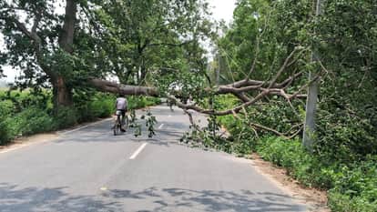 Storm and Rain Wreak Havoc Youth Dies in Bisauli Budaun