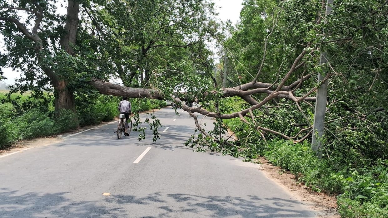 Storm and Rain Wreak Havoc Youth Dies in Bisauli Budaun