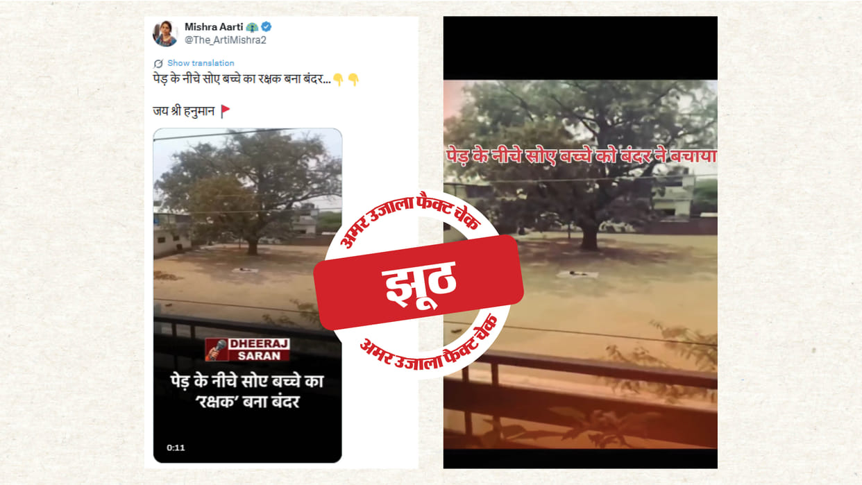 Fact Check: Video of saving a girl sleeping under a tree is made using AI