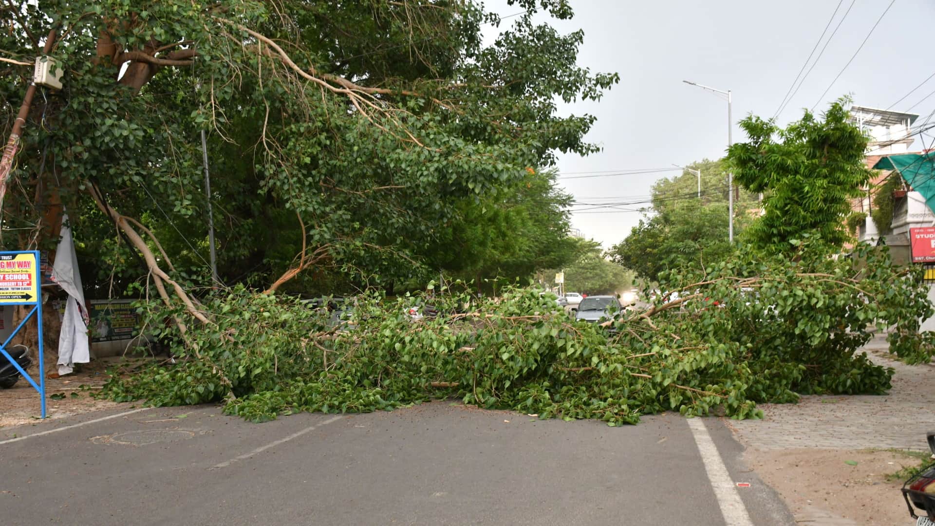 Prayagraj News: Storm killed 21 people in Prayagraj, damaged 16 houses, injured several others.