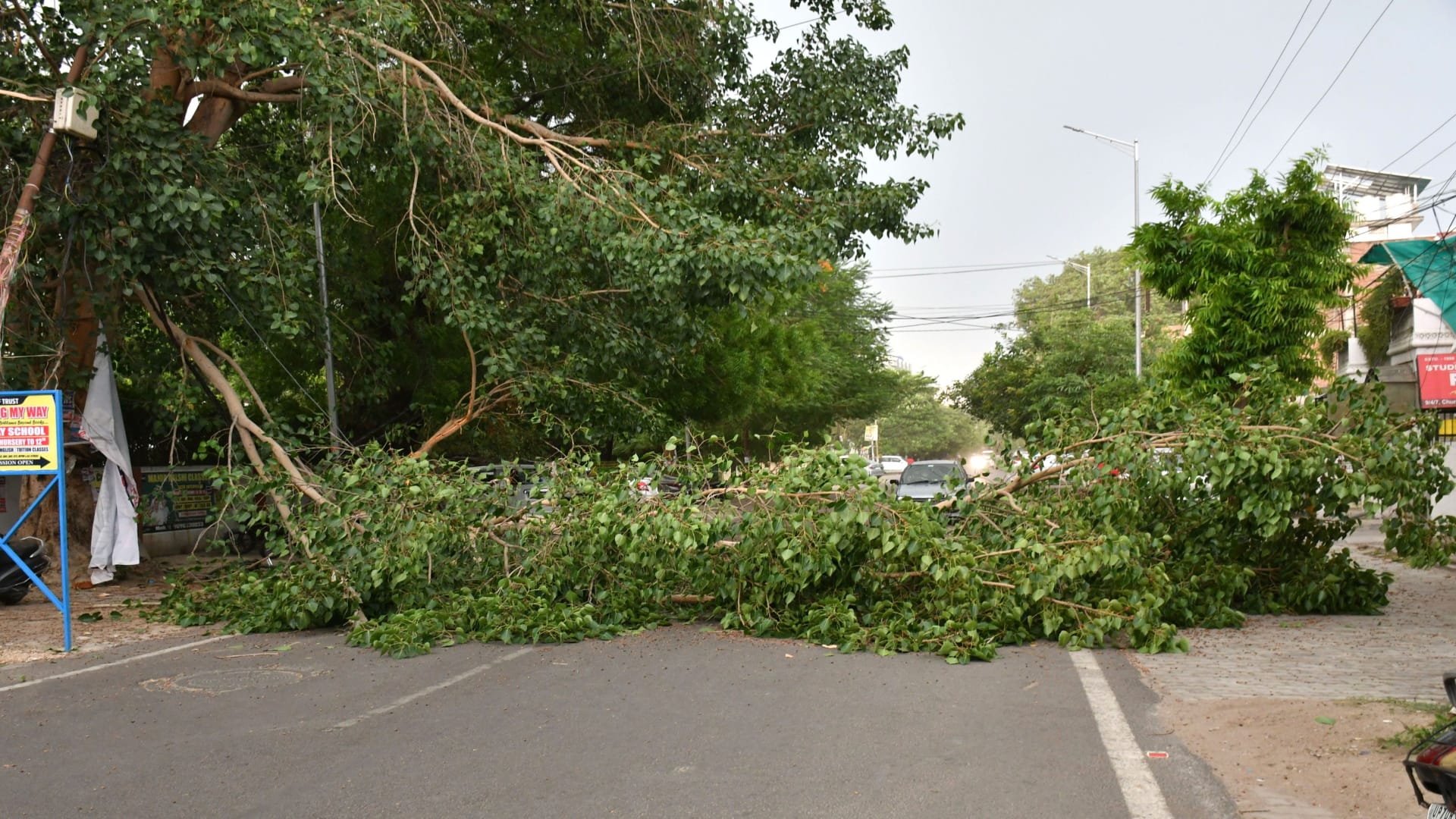 Prayagraj News: Storm killed 21 people in Prayagraj, damaged 16 houses, injured several others.