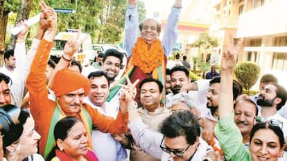 Haryana Nikay Chunav Bjp Stronghold Intact, Congress Failed to Regain
