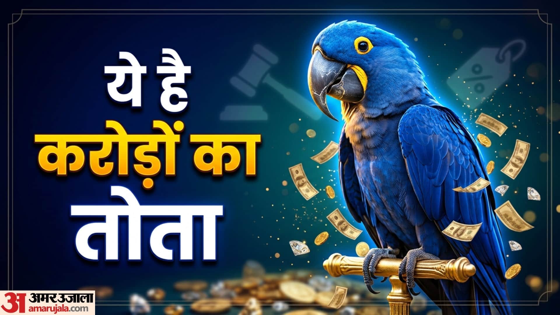 world most expensive parrot hyacinth macaw price equivalent to a new car