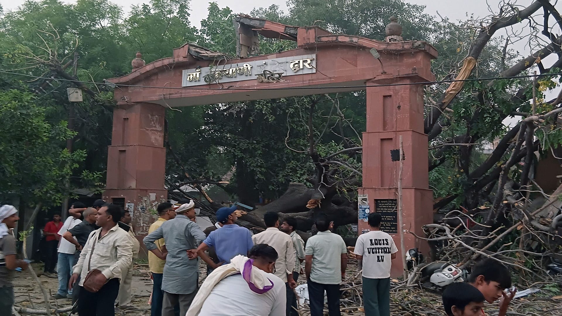 Prayagraj News: Storm killed 21 people in Prayagraj, damaged 16 houses, injured several others.
