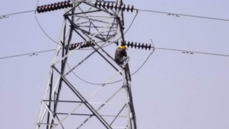 Banda: Youth Climbs Pole, Creates High-Voltage Drama; Chaos Ensues