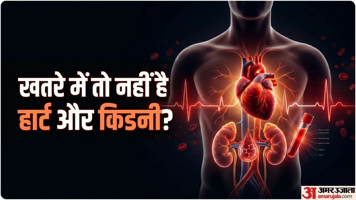simple blood test could reveal heart or kidney disease risk years before symptoms appear
