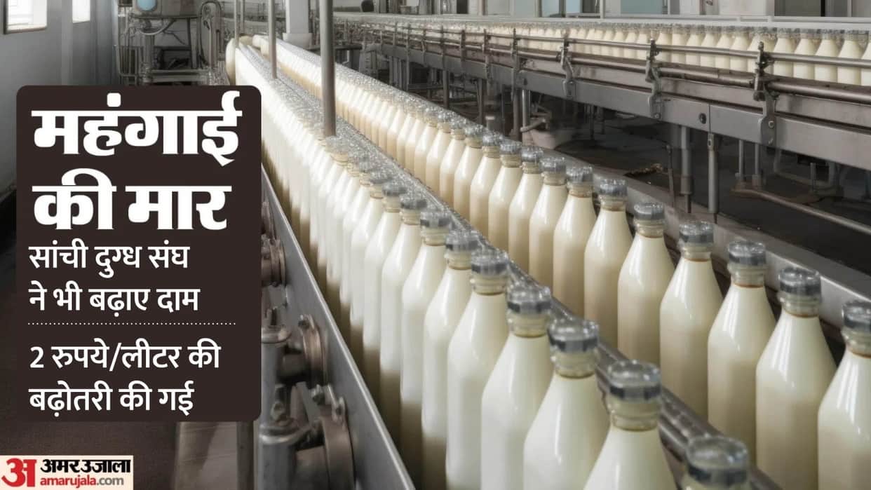 Milk Prices Rise Again in Madhya Pradesh: Sanchi Hikes Rates by ₹2 Per Liter—Effective Tomorrow; Congress Corn