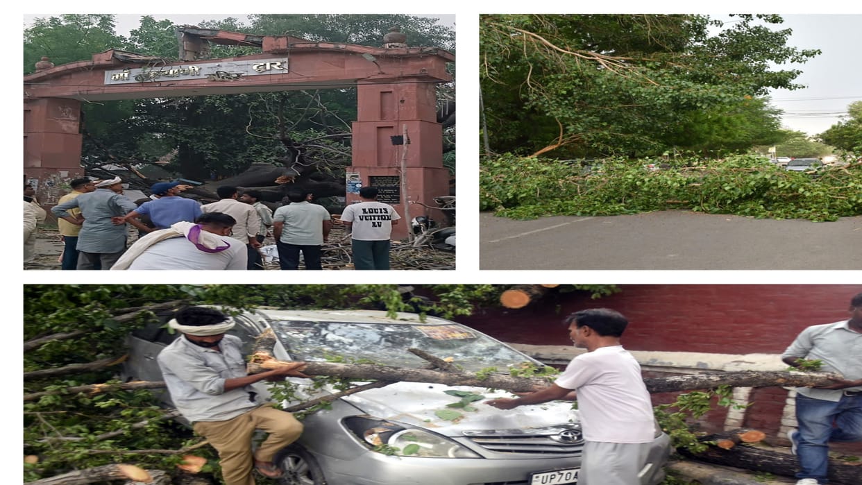 Prayagraj News: Storm killed 21 people in Prayagraj, damaged 16 houses, injured several others.