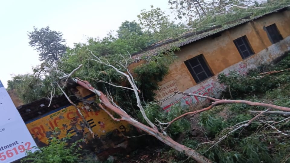 20-Minute Storm Wreaks Havoc in Western UP, Trees and Power Poles Fall, Power Supply Disrupted