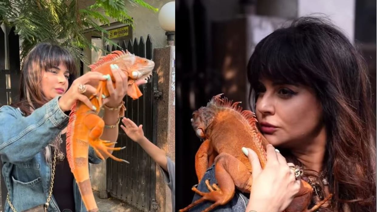 Sara Arfeen Khan play with Iguanas video goes viral users praise her