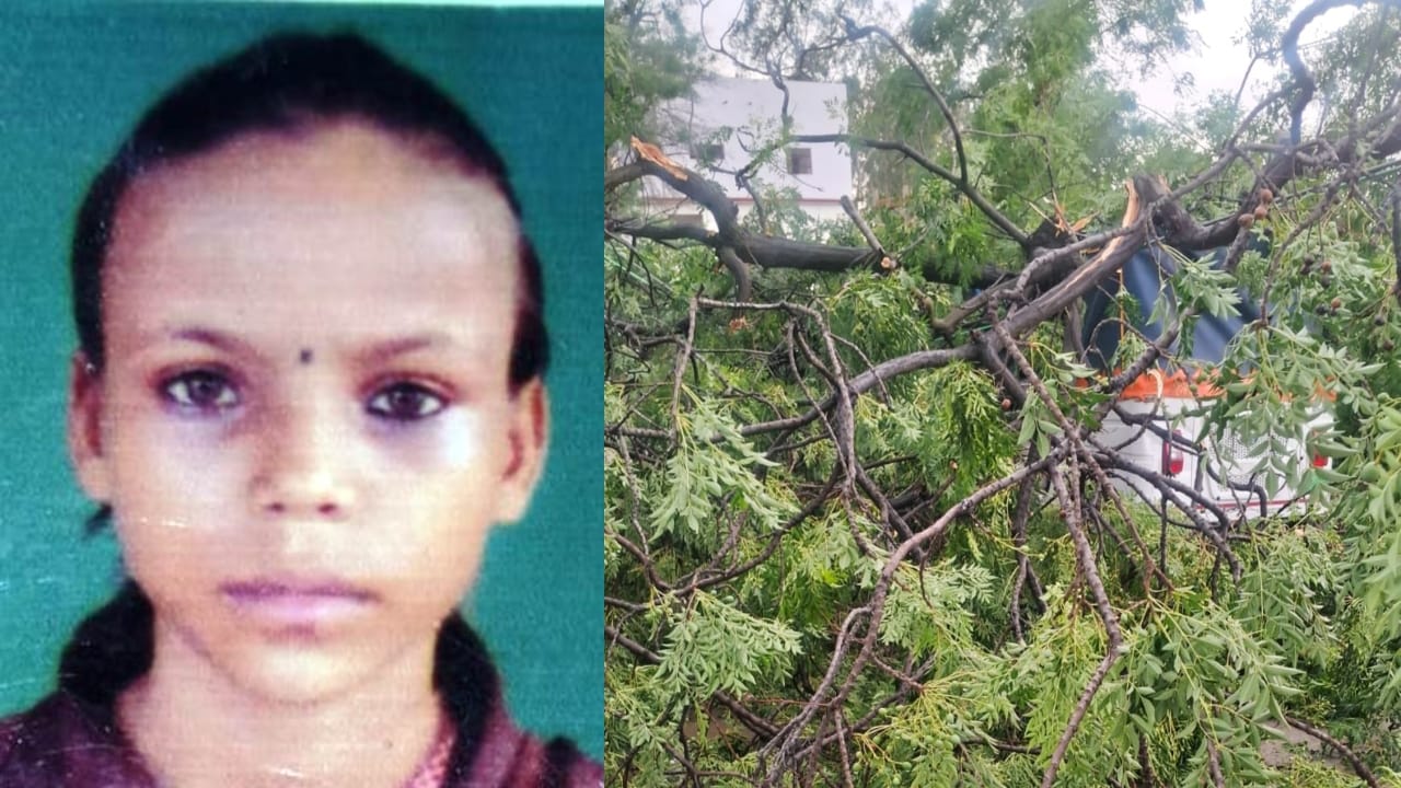 Man Blown into the Air Along with Tin Shed Due To Storm in Bareilly