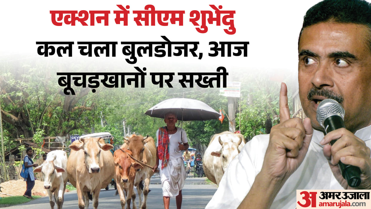 West Bengal government announces enforcement of cow slaughter rules