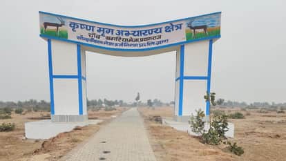 Eco park being developed in Meja at a cost of five crore rupees, 70 percent work completed