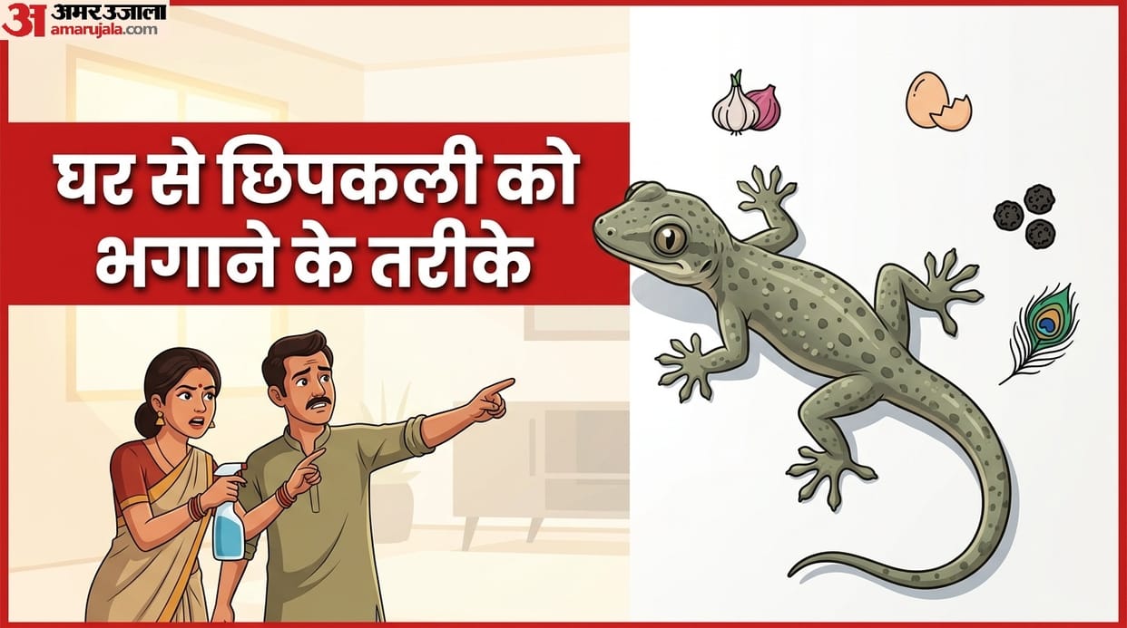 Ways to get rid of lizards chipkali ko kaise bhagaye room se