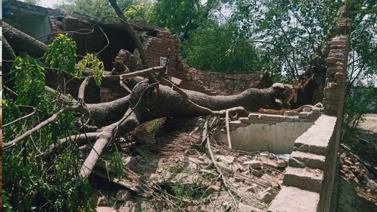 Painful Story of Four Family Members Killed in Storm in Bhadohi