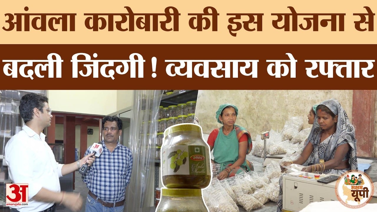 Saksham Pratapgarh: ODOP स्कीम ने बदली आंवला कारोबार की जिंदगी