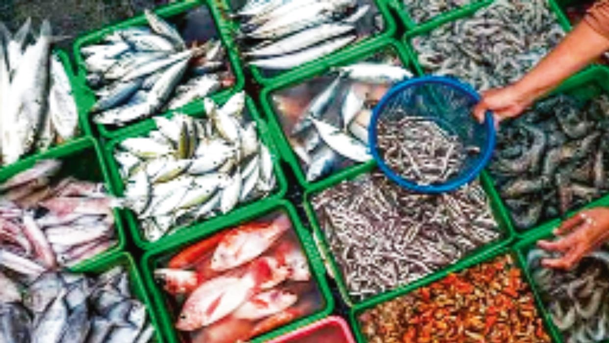 India Sea Food Export EU 2026 European Union Draft List Marine Products Export Value Fishery Products