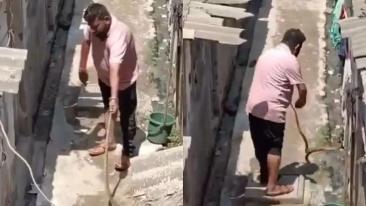 Man was trying to control snake but was bitten by it video goes viral