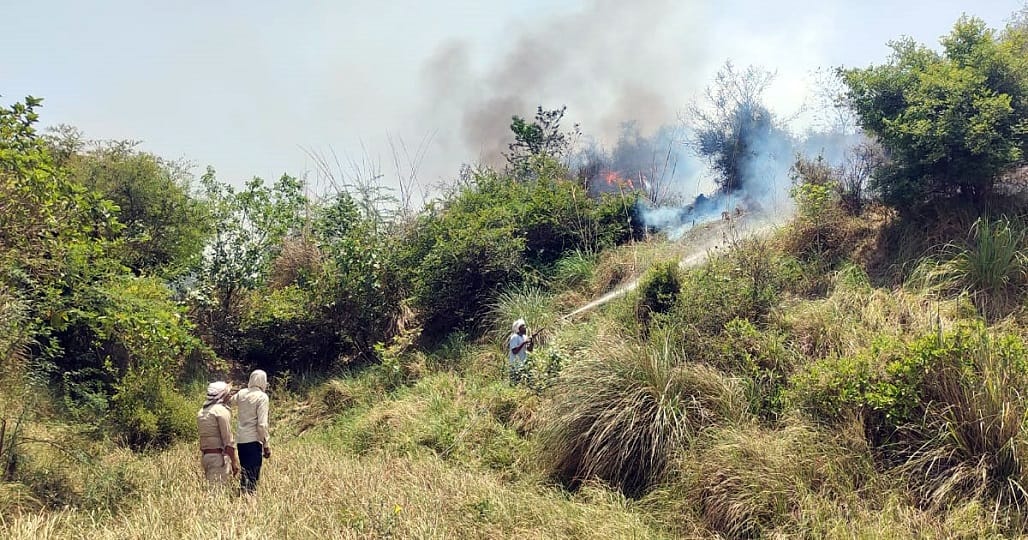 Fire breaks out in Chambal ravines in Agra