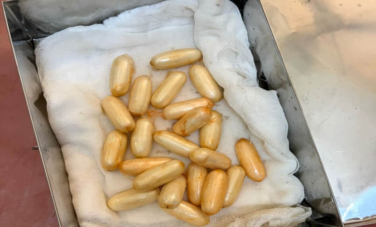 DRI seizes cocaine valued at Rs 13.2 crore at Mumbai airport; two arrested