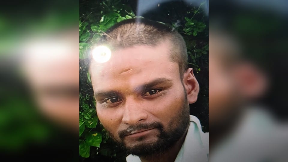 Body of farmer who went to guard crops found hanging from tree