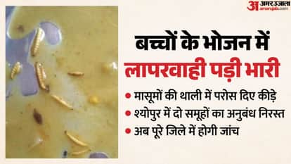 Uproar erupts in Sheopur after insects are found in Anganwadi food; collector cracks down on two
